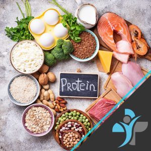 The Power of Protein: Health and Performance